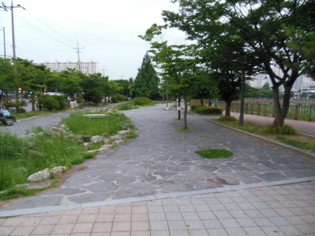 雲泉貯水池の一角